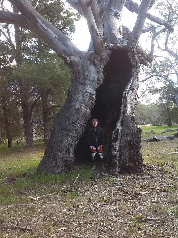 Heatherlie Cottages Halls Gap Esterno foto