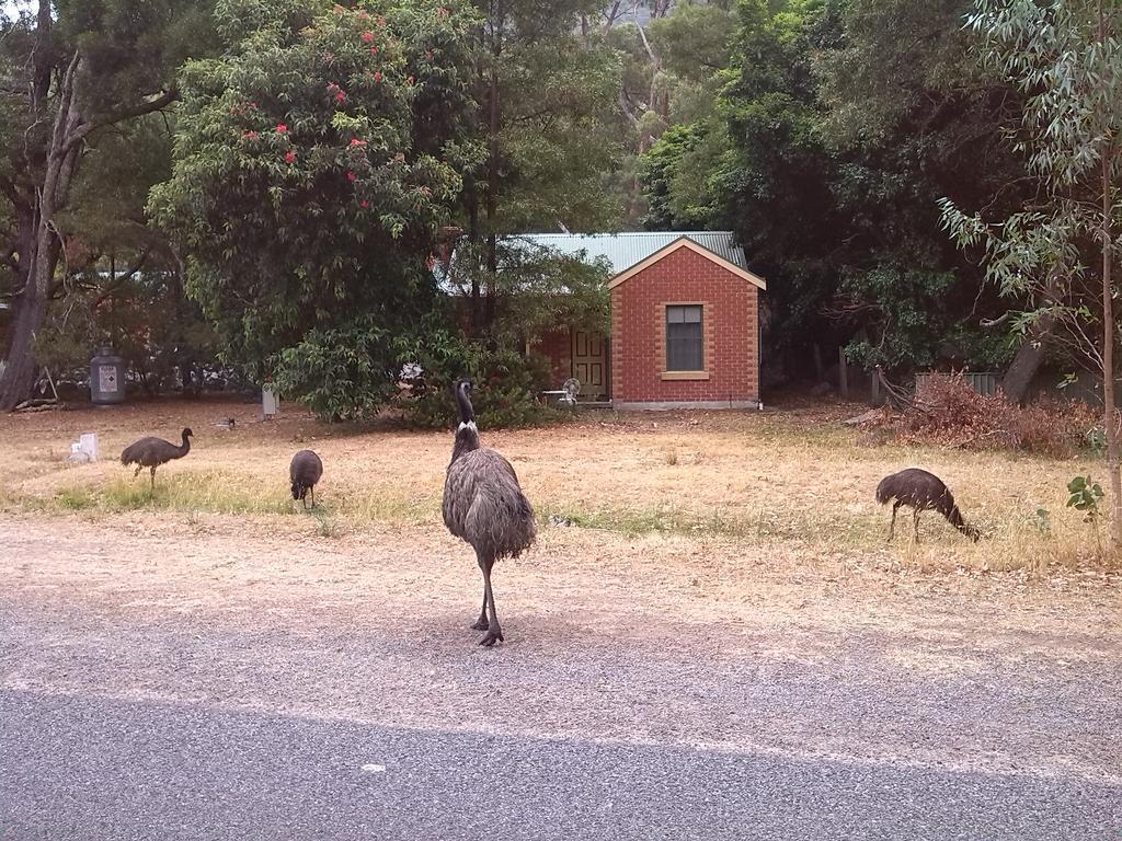 Heatherlie Cottages Halls Gap Esterno foto